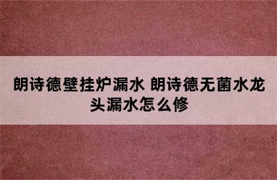 朗诗德壁挂炉漏水 朗诗德无菌水龙头漏水怎么修